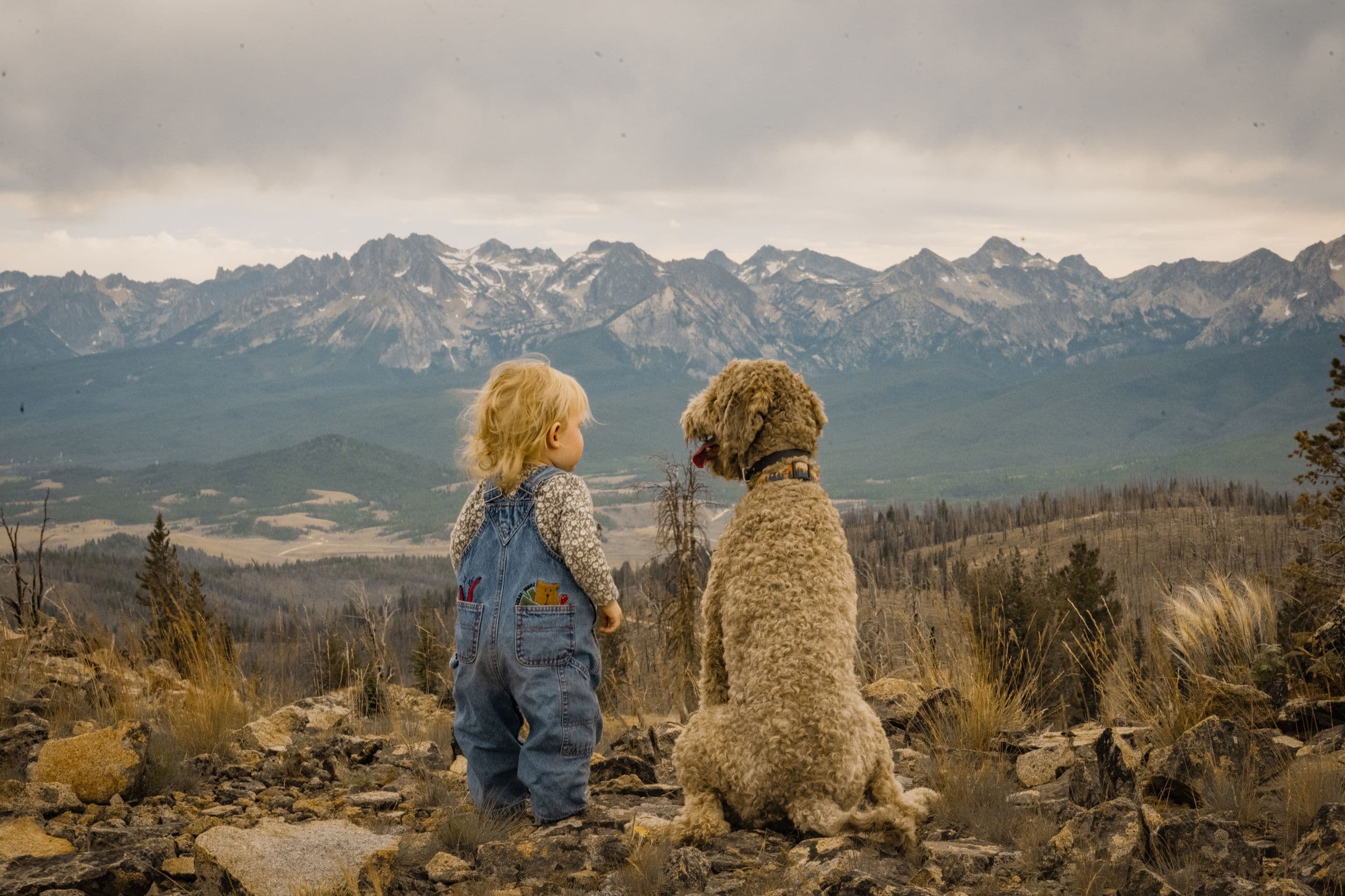 Ett barn och en hund blickar ut över ett bergslandskap