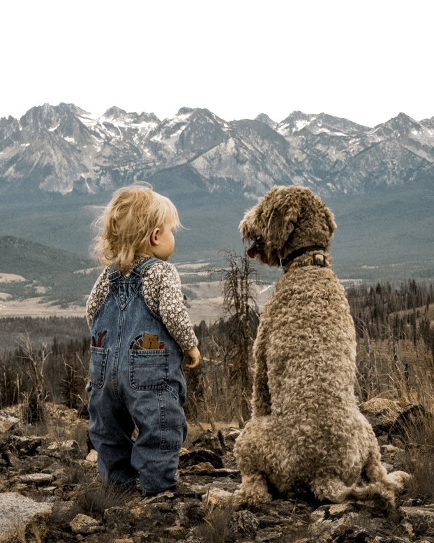 A child and a dog looking out over a mountain landscape